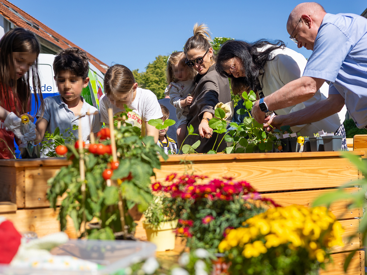 Erwachsene und Kinder pflanzen Gemüse