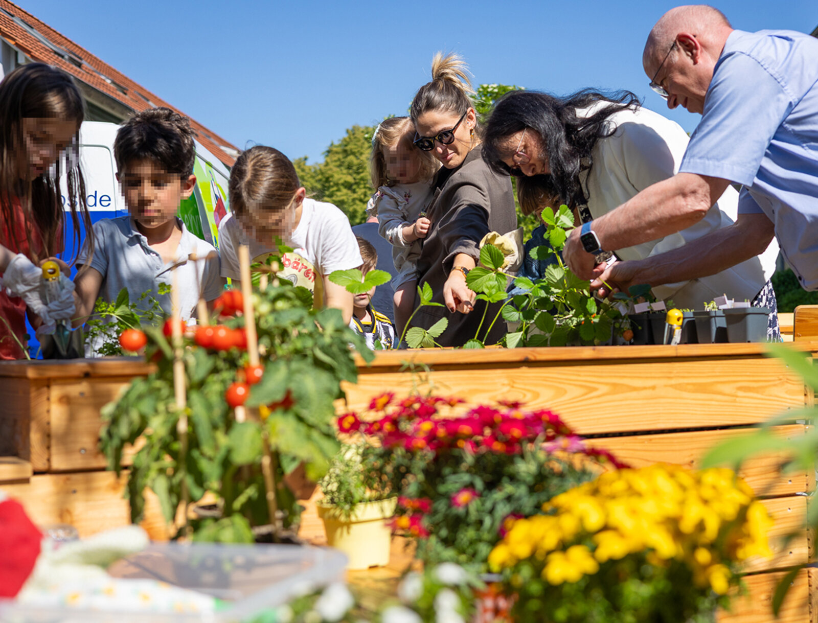 Erwachsene und Kinder pflanzen Gemüse