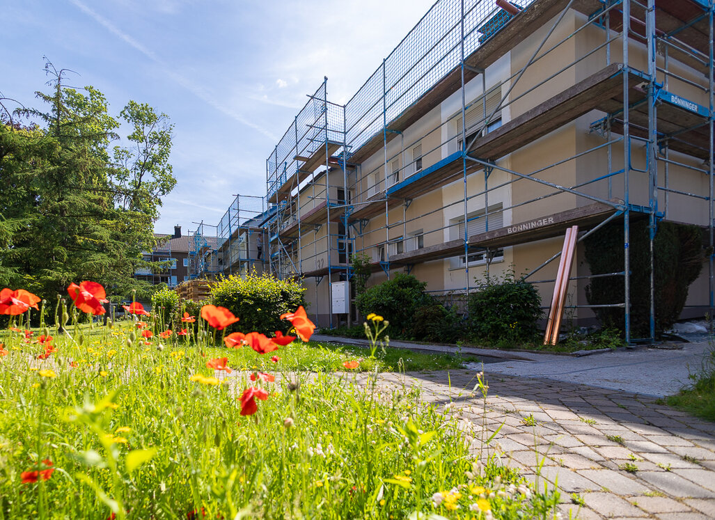 Mehrfamilienhaus an der Wilhelm-Löbbe-Allee während der Fassadenmodernisierung. Das Gebäude ist vollständig eingerüstet, im Vordergrund blühen Mohnblumen auf der Grünfläche.