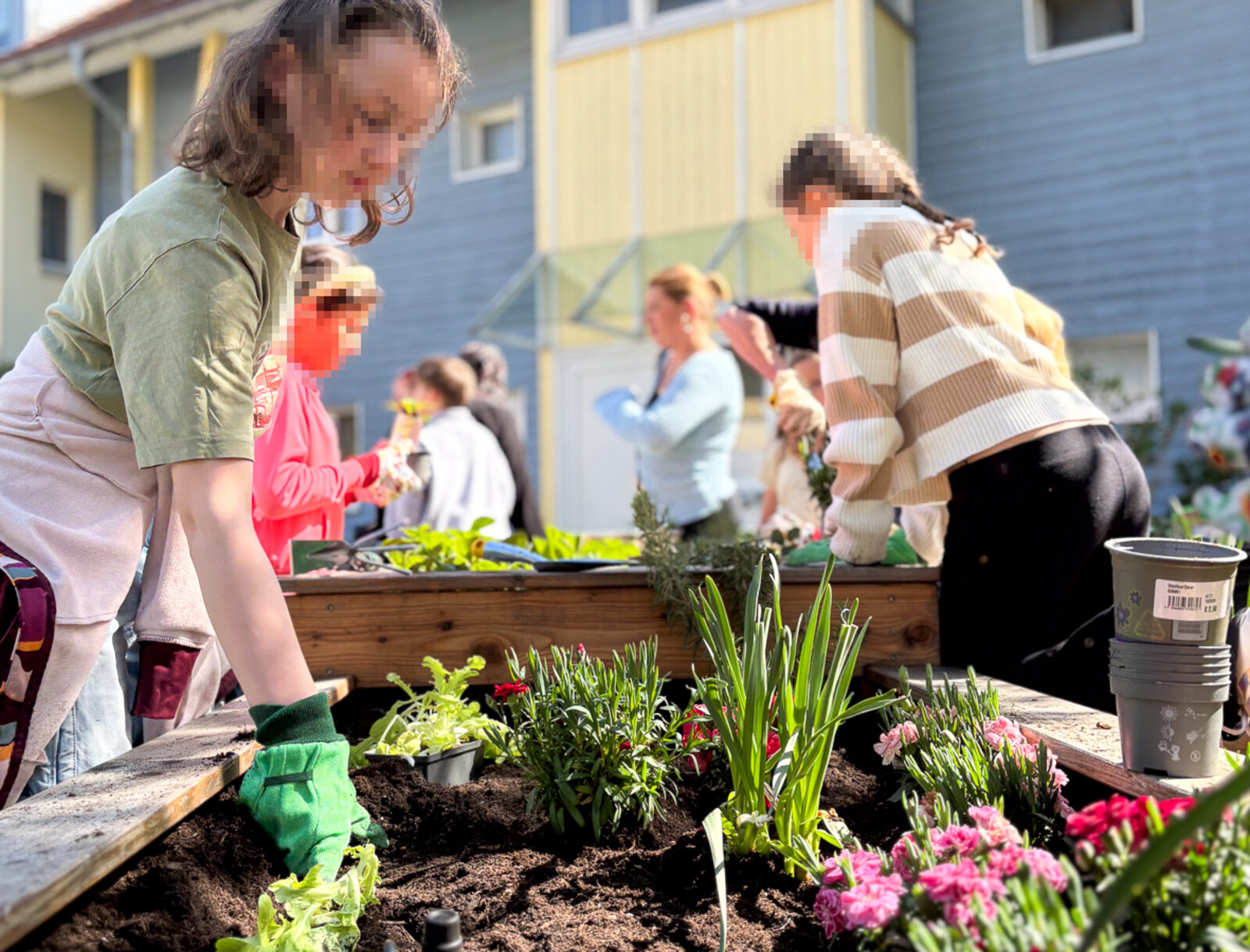 Mehrere Kinder arbeiten konzentriert an einem Hochbeet und setzen Pflanzen in die Erde.
