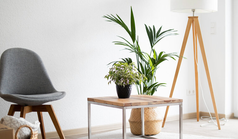 Helle, modern eingerichtete Wohnunung der WBG Lünen mit einem grauen Stuhl, kleinem Holztisch, Zimmerpflanzen und einer Stehlampe. Der Raum wirkt ruhig und freundlich, mit viel Tageslicht durch ein Fenster.