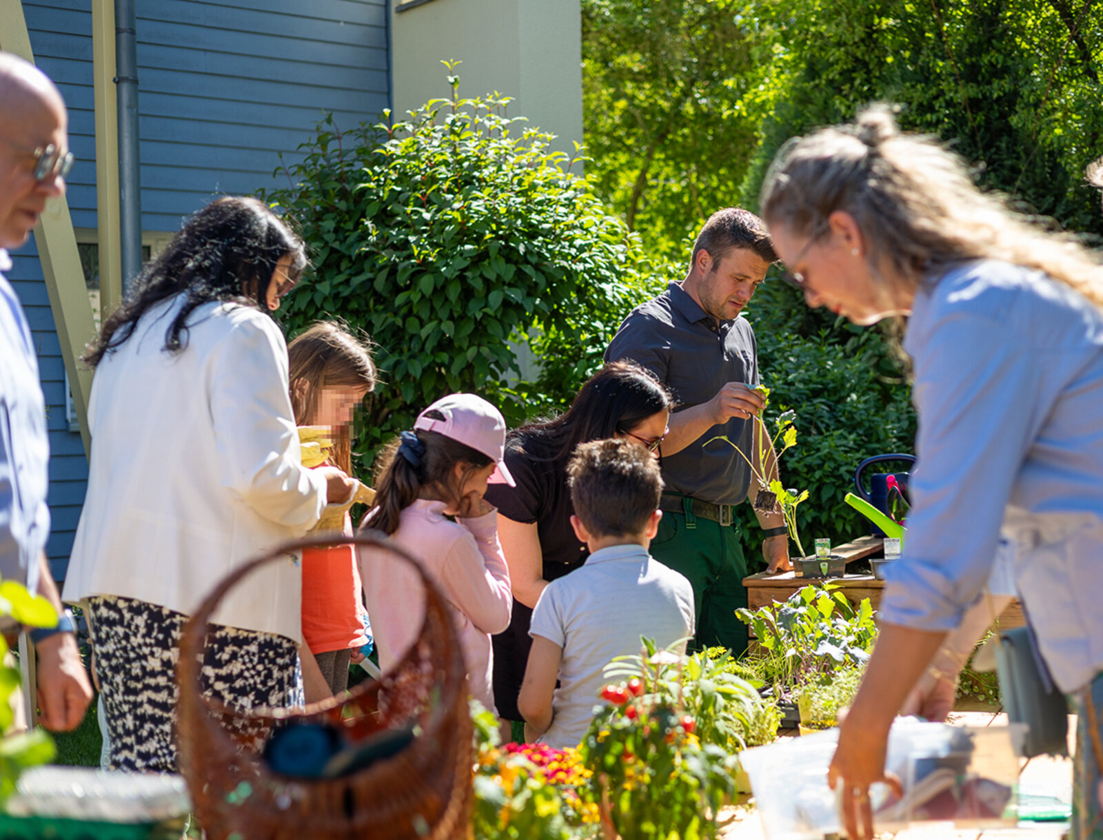Erwachsene und Kinder pflanzen Gemüse