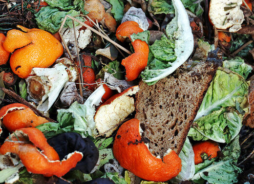 Lebensmittel in der Biotonne