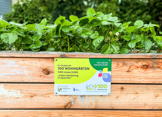 Hochbeet mit Erdbeerpflanzen und Hinweisschild zum Gemeinschaftsprojekt „100 Wohngärten“ der WBG Lünen und der UKBS.